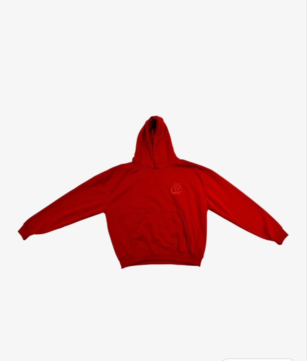 “ALON” in red Hoodie